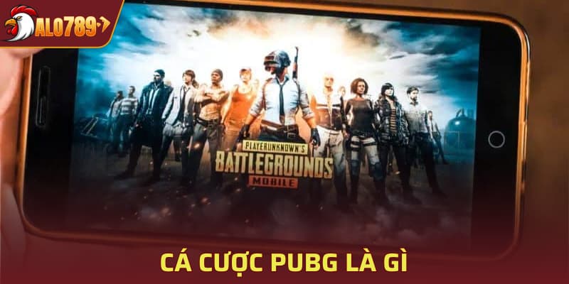 Cá cược PUBG là gì