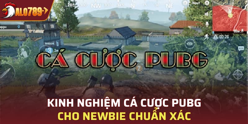 Kinh nghiệm cá cược PUBG cho newbie chuẩn xác